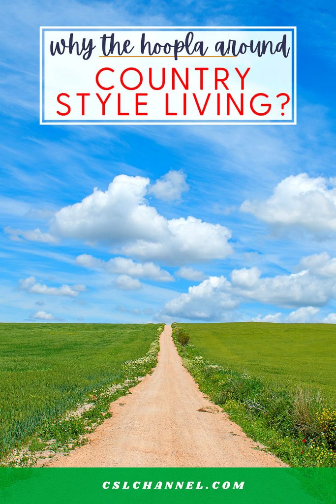 country style living image of dirt road and green pasture